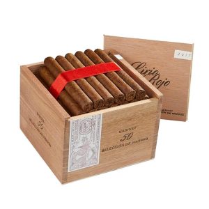 Warped Lirio Rojo 2022