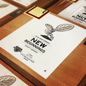 Viaje New Beginnings