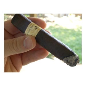 Rocky Patel - Olde World Reserve Robusto (Box of 20)