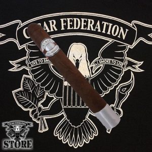 Viaje Collaboration 2015