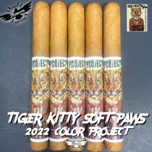 Tiger Kitty Soft Paws 2022