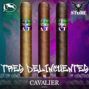CAVALIER GENEVE TRES DELICUENTES
