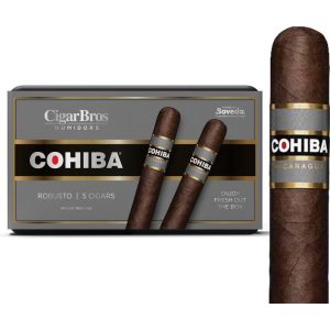 Cohiba Nicaruga Premium Cigars Set + Personal Humidor by CigarBros