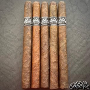 Ezra Zion All My EX's Minx Maduro