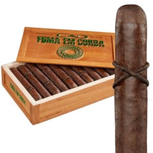 CAO Fuma em Corda Toro