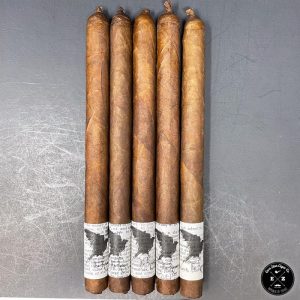 Ezra Zion The Raven MystiQ Lancero